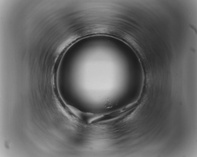 X0000099491034200805151402