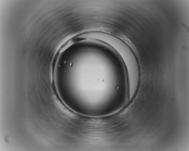 X0000099491036200805151402