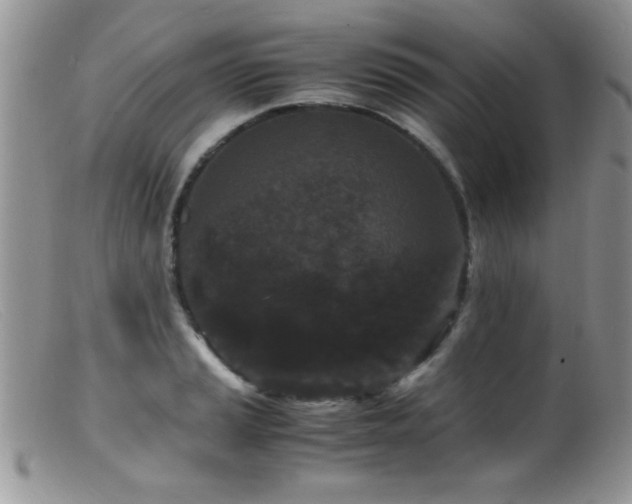 X0000099491037200805151402