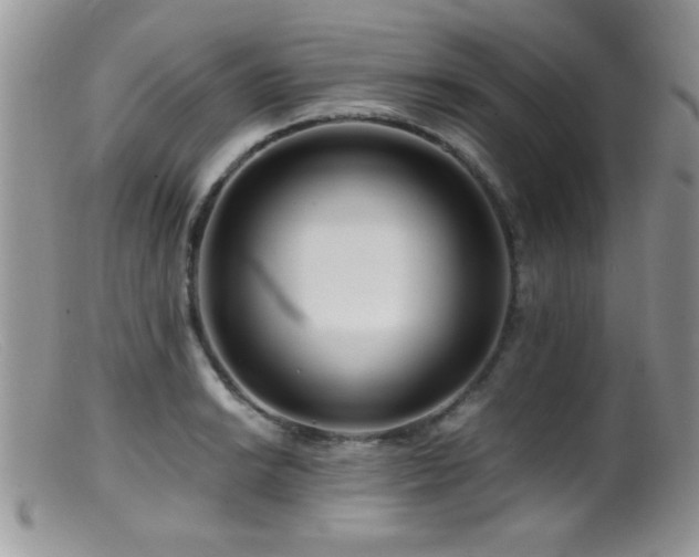 X0000099491038200805151402