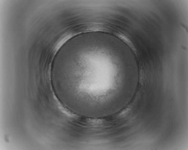 X0000099491039200805151402