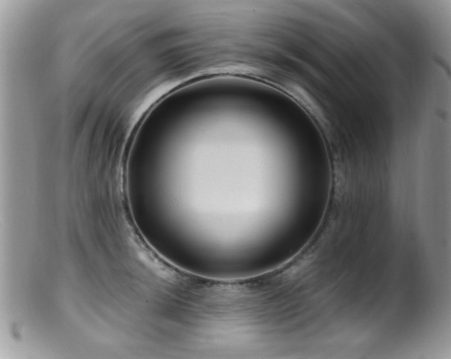 X0000099491044200805151402