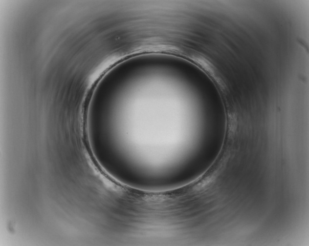 X0000099491046200805151402