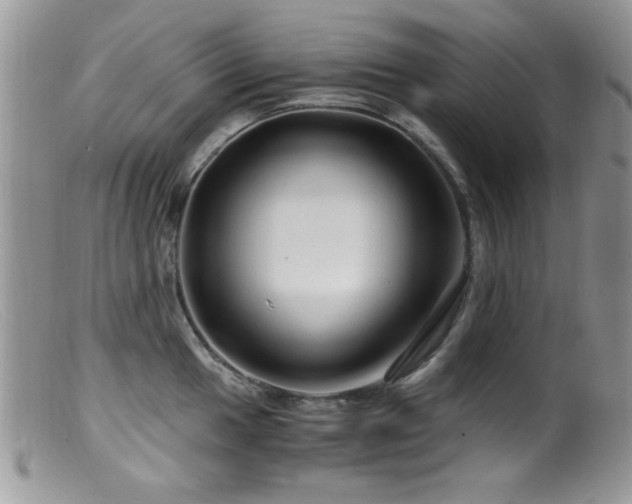 X0000099491049200805151402