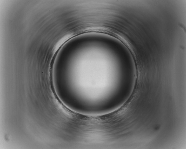 X0000099491050200805151402