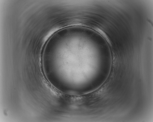 X0000099491051200805151402
