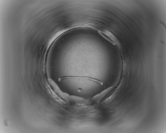 X0000099491052200805151402