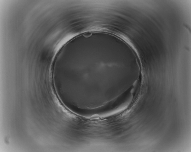 X0000099491053200805151402