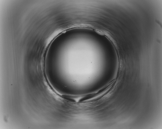 X0000099491054200805151402