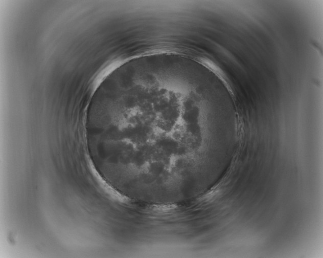 X0000099491055200805151402