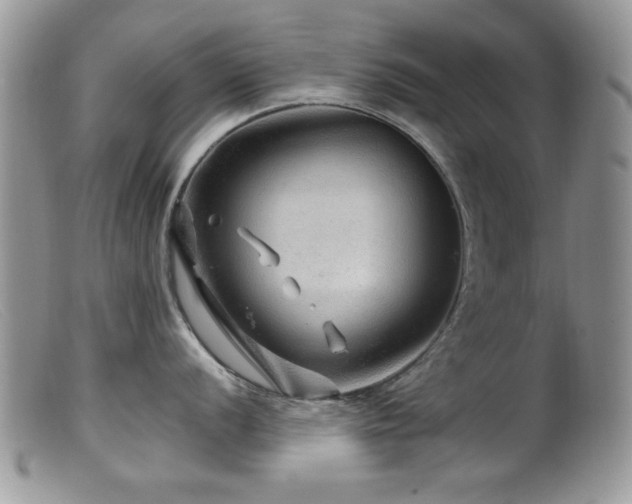 X0000099491056200805151402