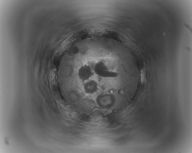 X0000099491059200805151401
