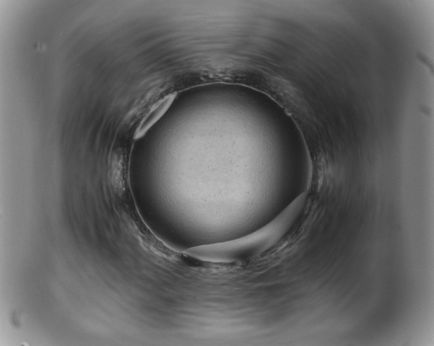 X0000099491060200805151401