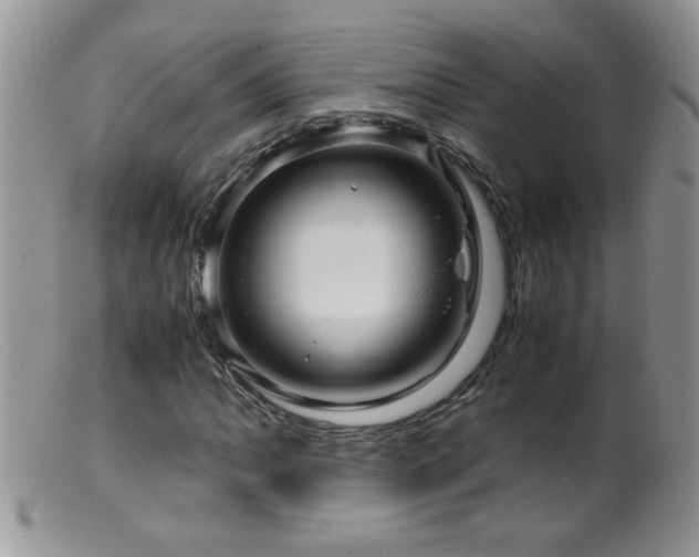 X0000099491062200805151401