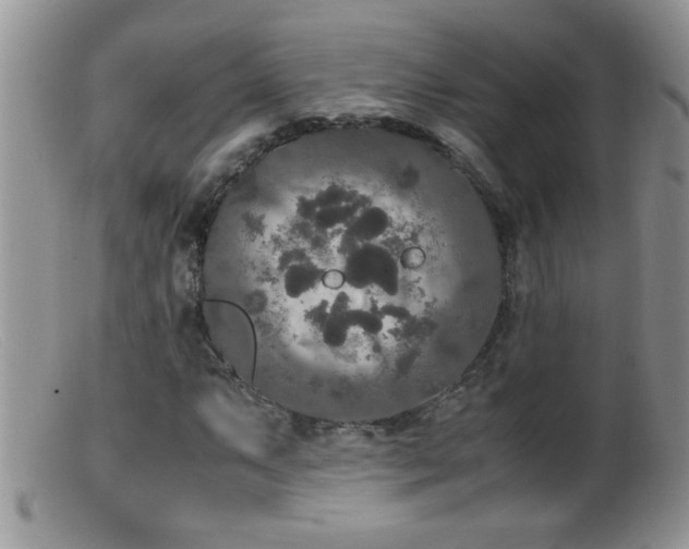 X0000099491063200805151401