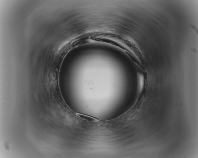 X0000099491064200805151401