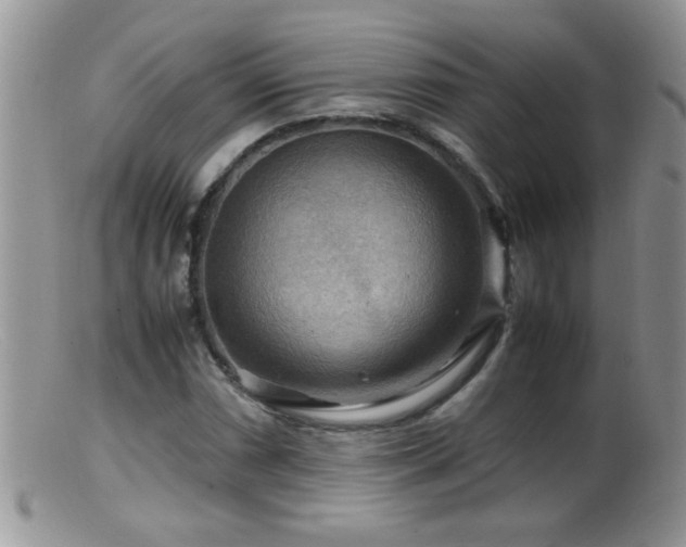 X0000099491066200805151401