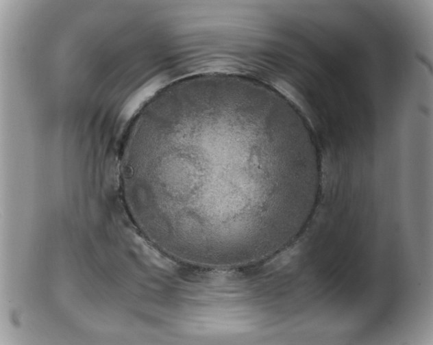 X0000099491067200805151401