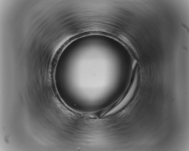 X0000099491068200805151401