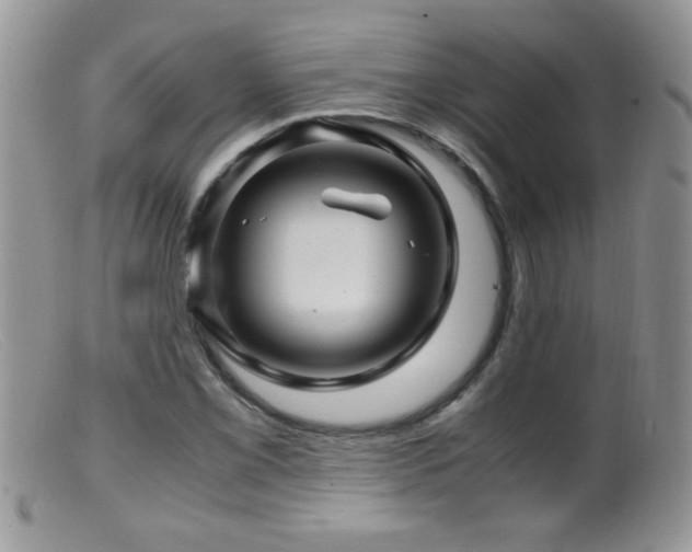 X0000099491069200805151401