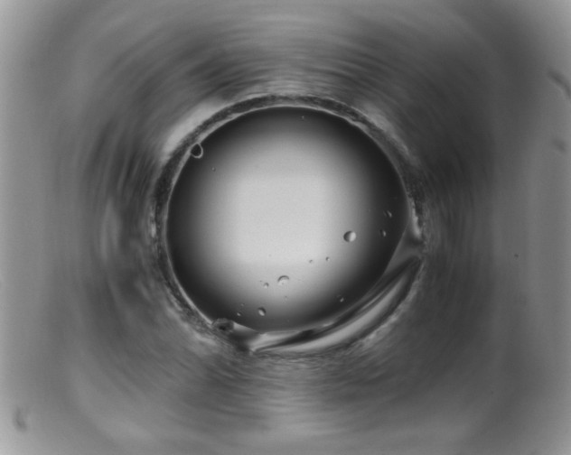 X0000099491070200805151401