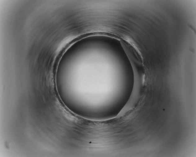 X0000099491072200805151401