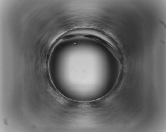 X0000099491073200805151401