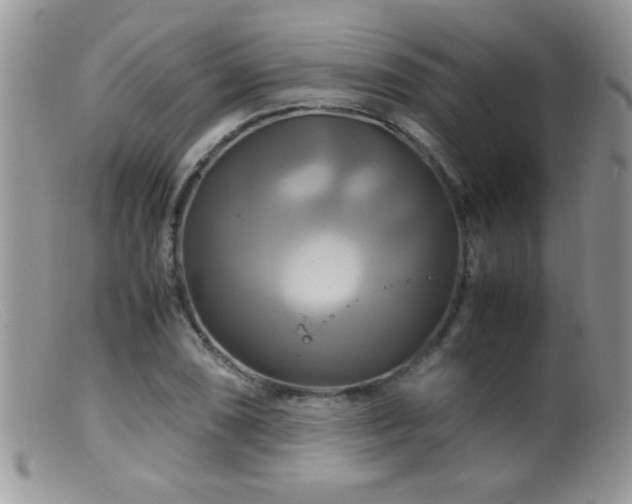 X0000099491074200805151401