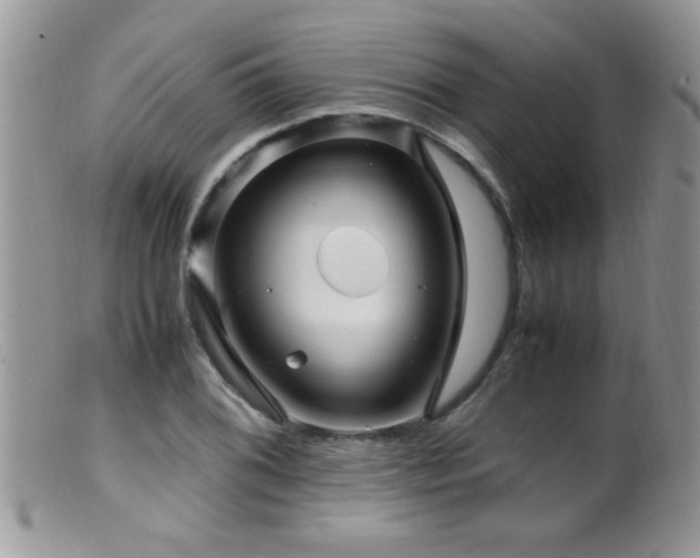 X0000099491076200805151401