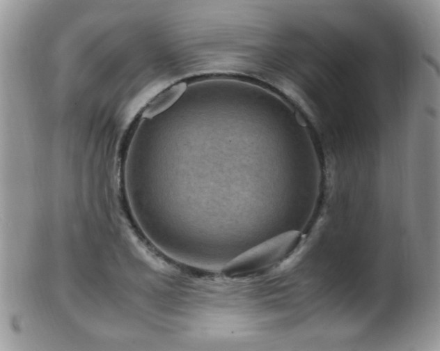 X0000099491077200805151401