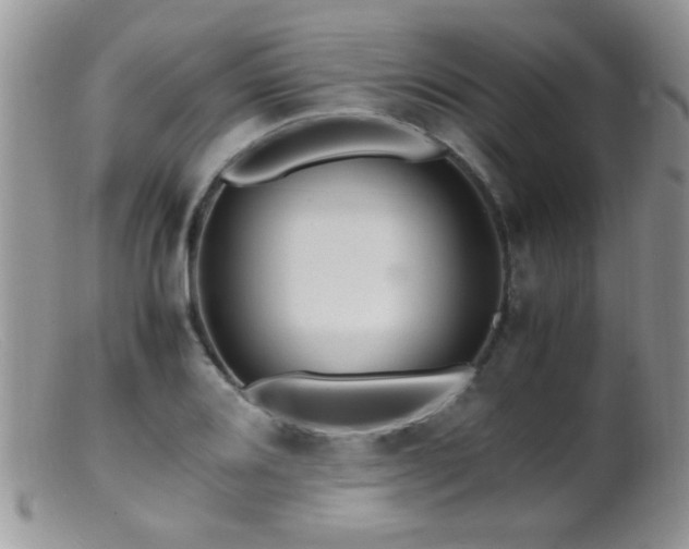 X0000099491080200805151401