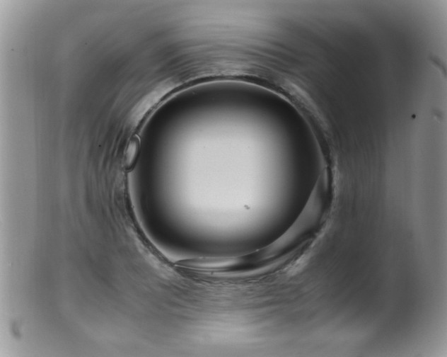 X0000099491081200805151401