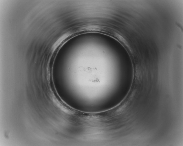 X0000099491082200805151401