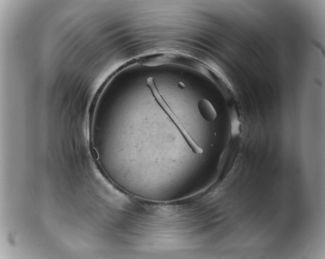 X0000099491084200805151401