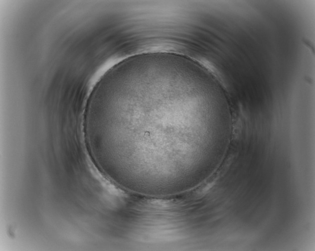 X0000099491086200805151401