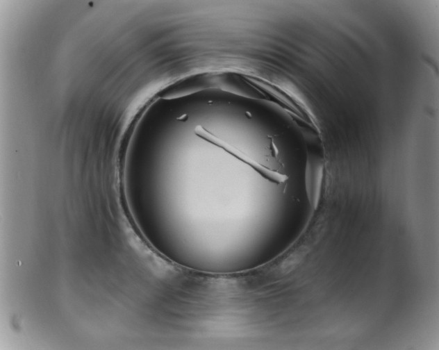 X0000099491088200805151401