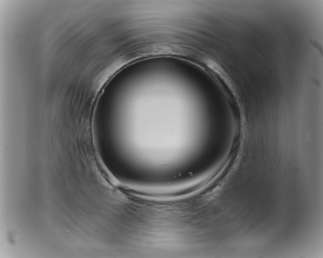 X0000099491089200805151401