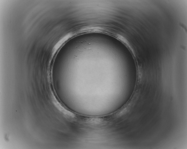 X0000099491090200805151401