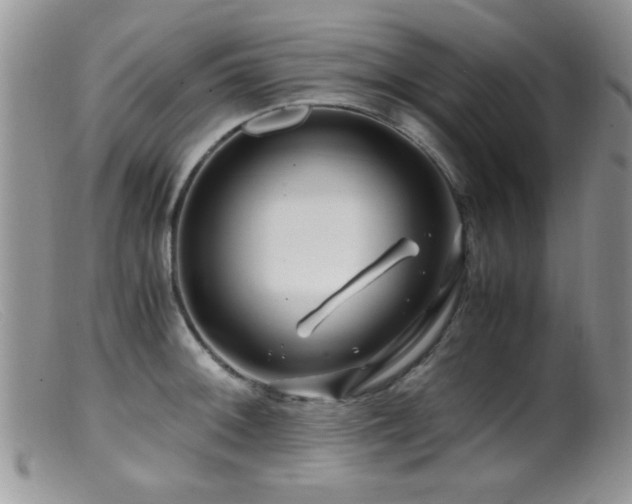 X0000099491092200805151401