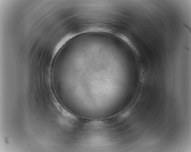 X0000099491094200805151401