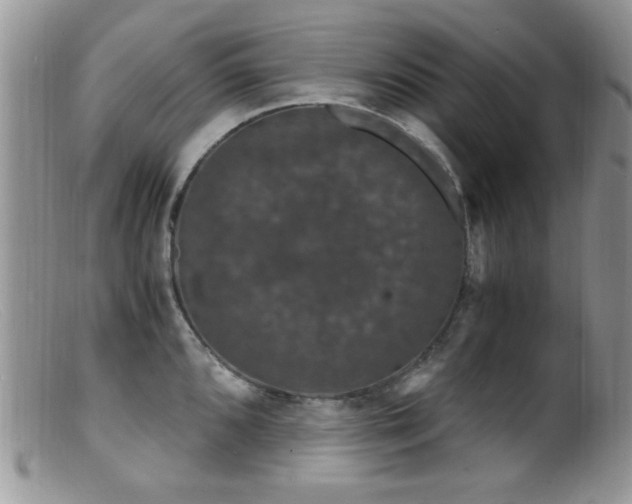 X0000099491096200805151401