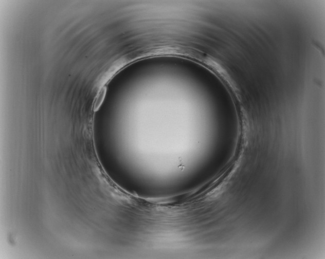 X0000099491097200805151401