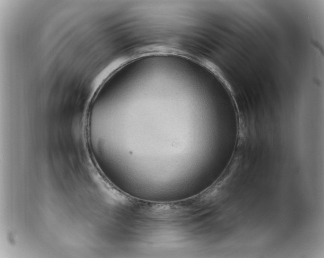 X0000099491098200805151401