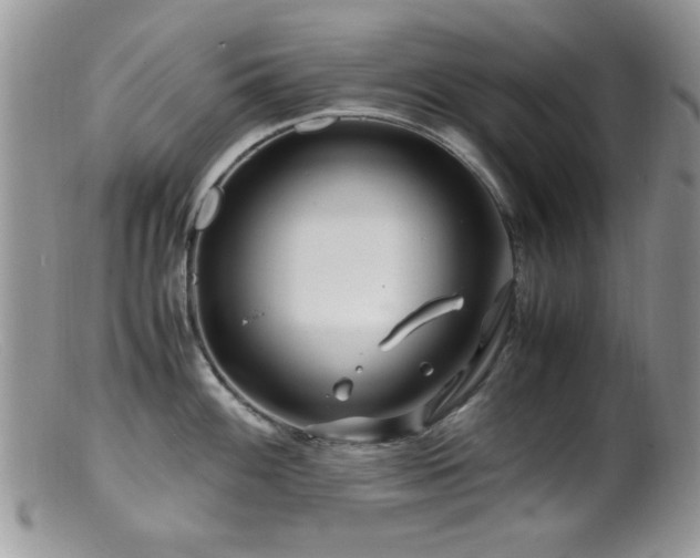 X0000099491100200805151401