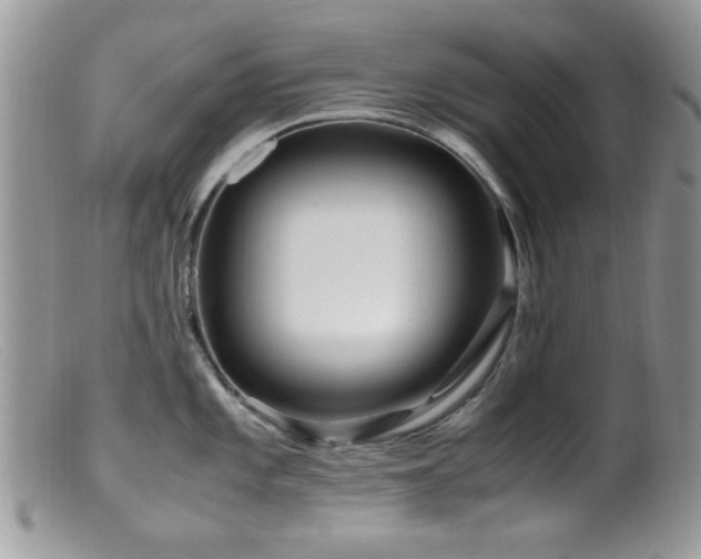 X0000099491101200805151401