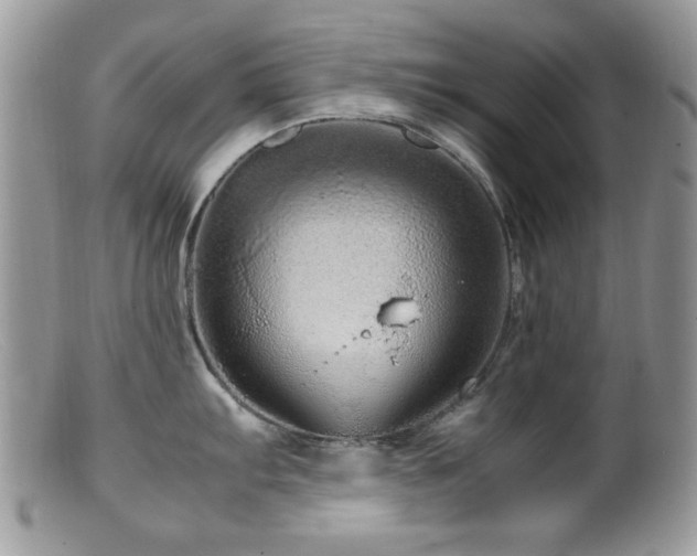 X0000099491103200805151401