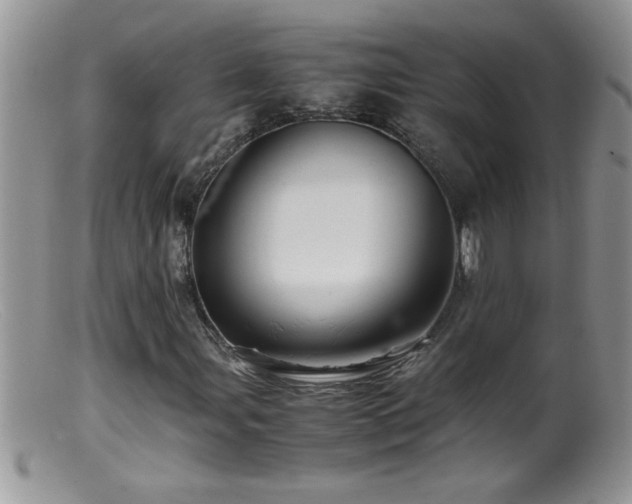 X0000099491107200805151400