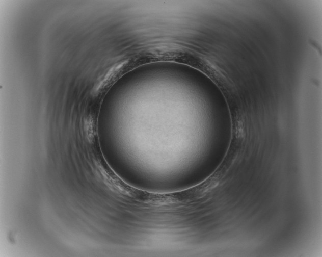 X0000099491108200805151400