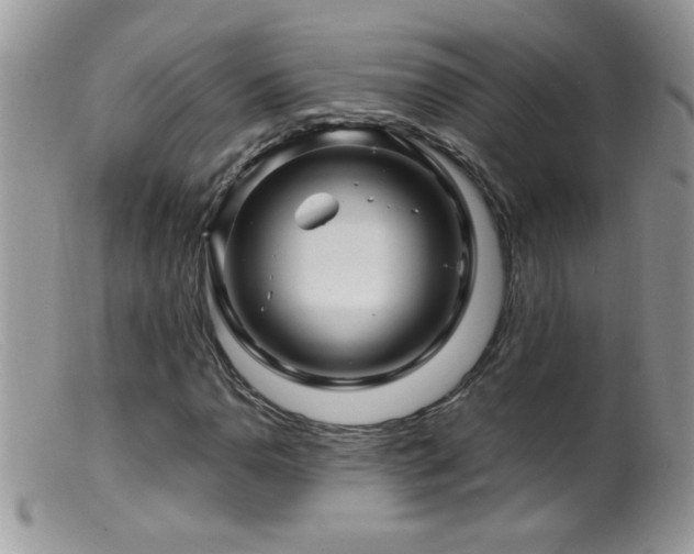 X0000099491110200805151400