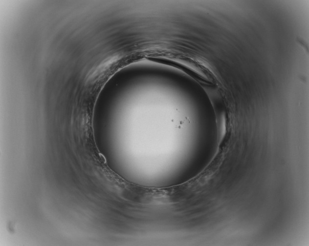 X0000099491111200805151400